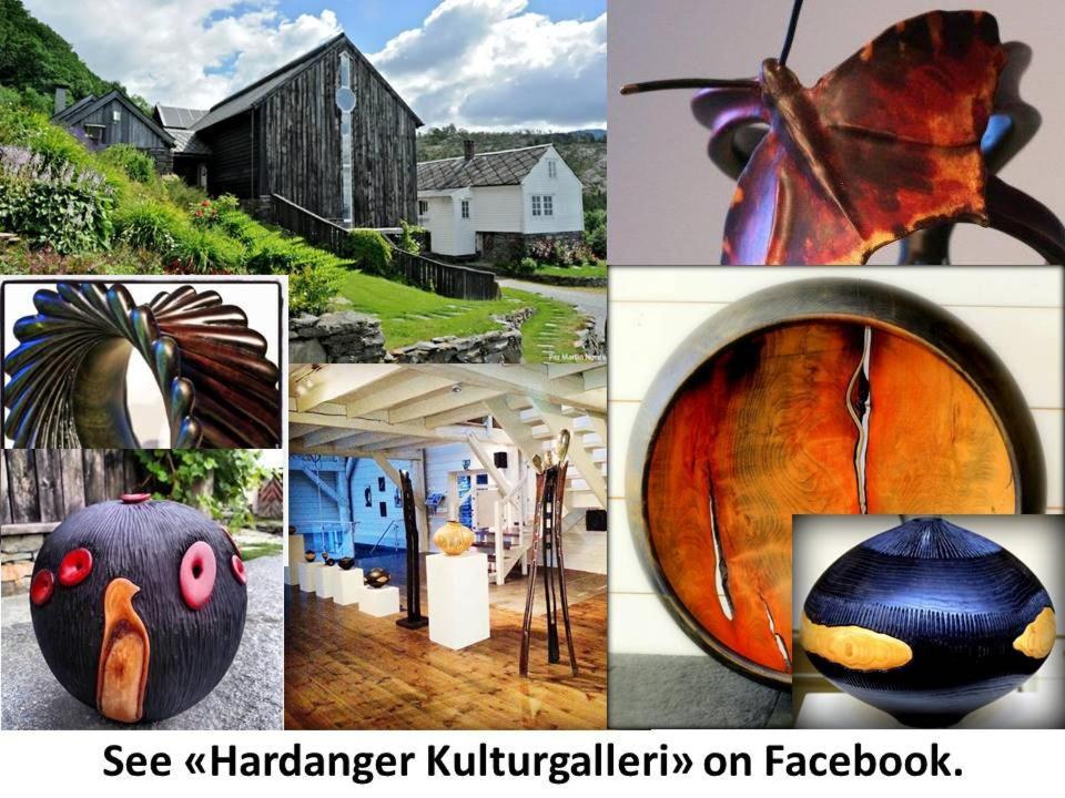 Apartment 2, Herand, Hardanger Exteriér fotografie